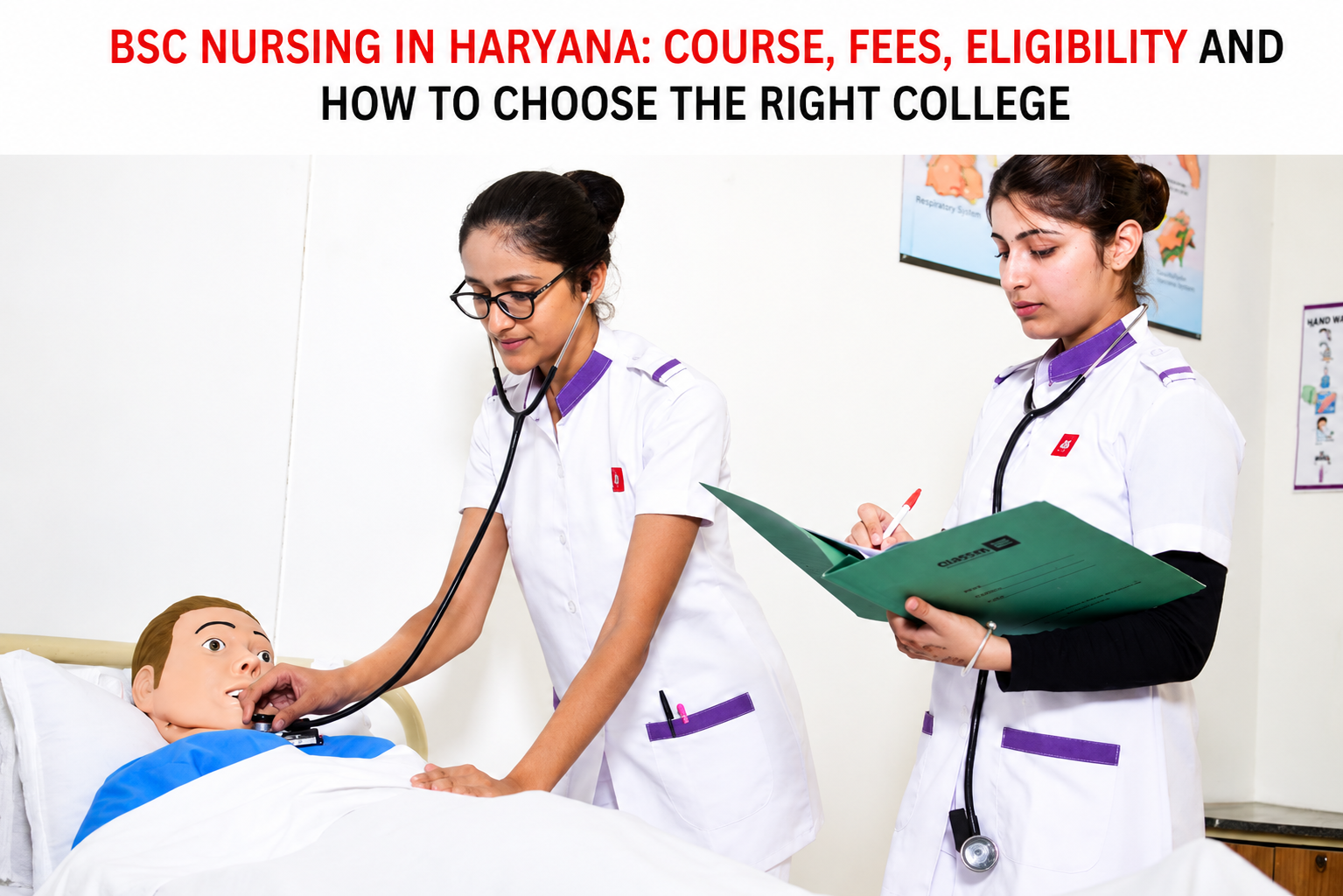 Bsc Nursing
